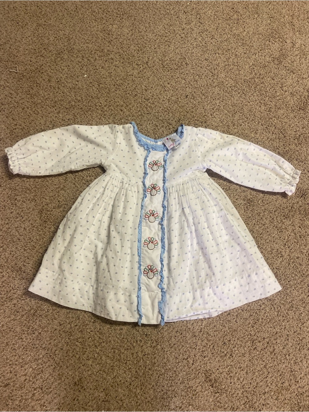Eliza James Thanksgiving dress embroidered turkey swiss dots 3T girls Toddler